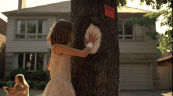 Cecilia and the infected elm