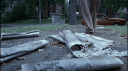 Newspapers accumulate in front of the Lisbons' home